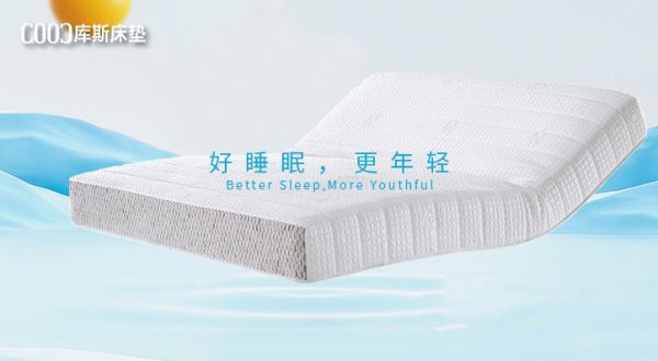 乐鱼体育app-ESG20周年